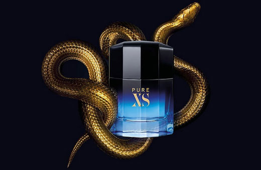 E-Learning Paco Rabanne Pure XS